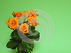 Bouquet of tea roses. Bukiet herbacianych rÃÂ³ÃÂ¼. photo